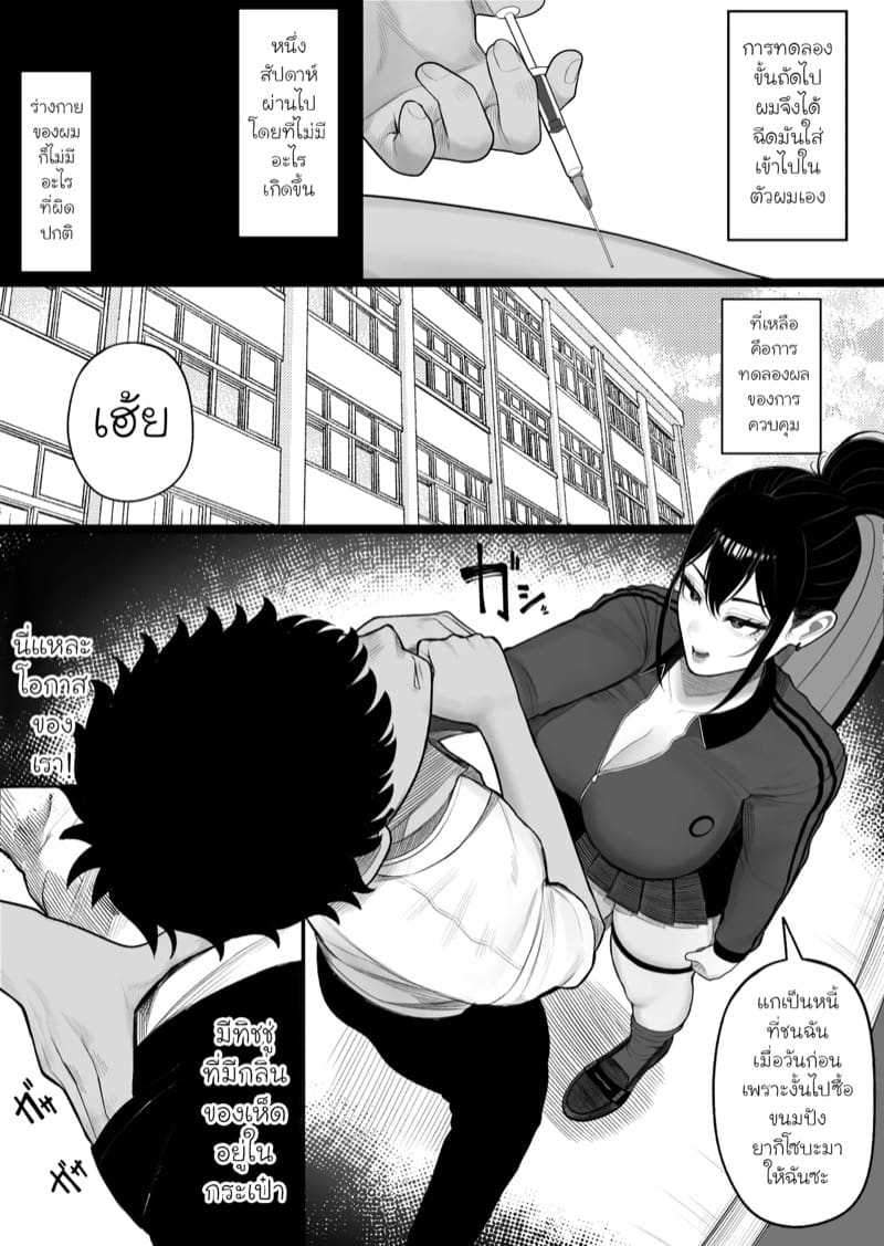 เห็ดกำราบแยงกี้